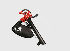 EINHELL GC-EL 3000 E картинка